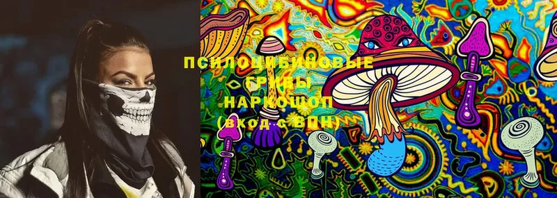 Псилоцибиновые грибы MAGIC MUSHROOMS  купить закладку  MEGA как зайти  Нальчик 